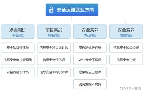 網絡與信息安全軟件開發(fā) 入行前的關鍵認知與路徑規(guī)劃